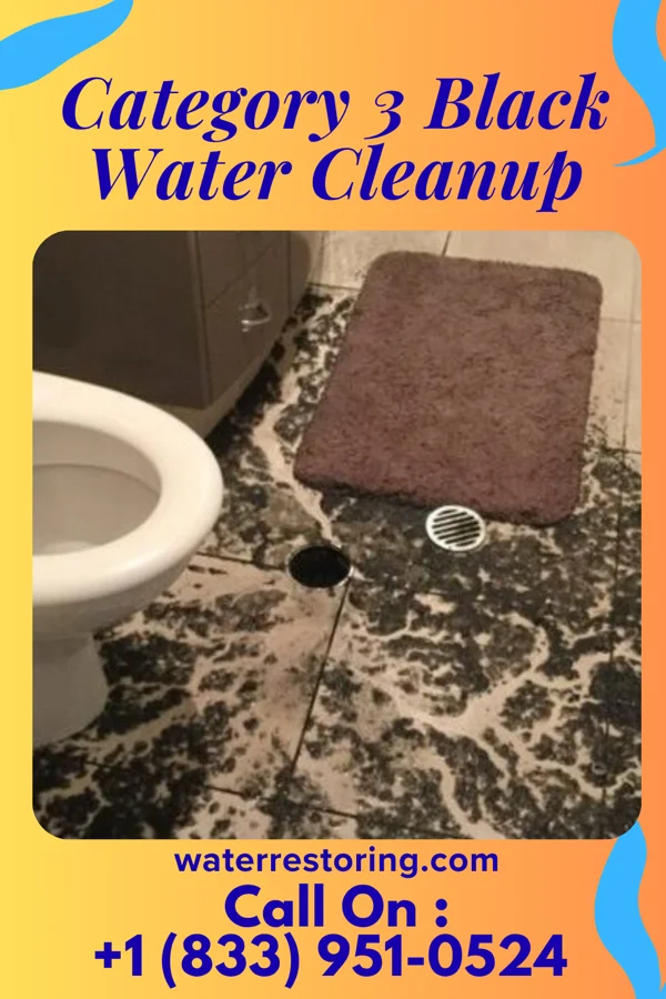 Category 3 Black Water Cleanup in Boiling Springs, NC